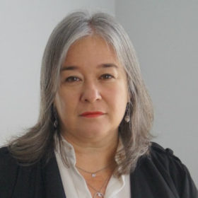 Mariana Bargsted - Directora académica