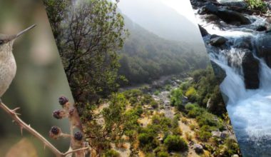 Investigación de estudiantes de psicología revela la importancia y el valor histórico del Parque Quebrada de Macul